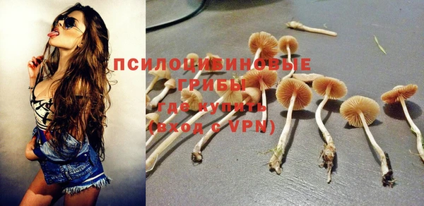 ALPHA-PVP Богданович