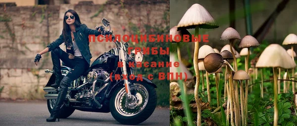 амфетамин Богородицк